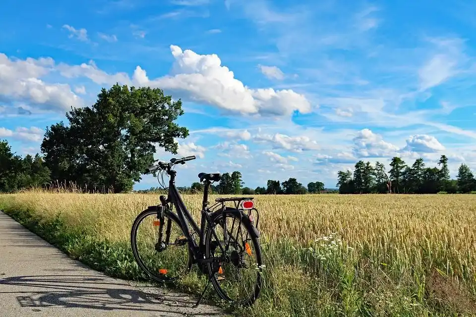 A bike parked on the side of a field with long grass, trees and blue skies in the background.